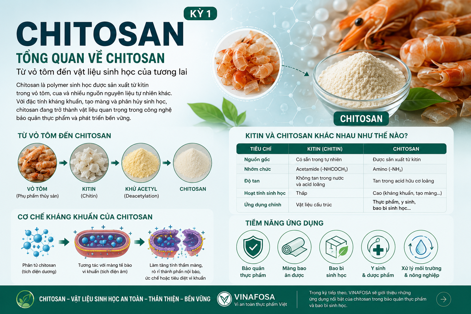 Chitosan là polymer sinh học được sản xuất từ kitin trong vỏ tôm, cua và nhiều nguồn nguyên liệu tự nhiên khác. Với đặc tính kháng khuẩn, tạo màng và phân hủy sinh học, chitosan đang trở thành vật liệu quan trọng trong công nghệ bảo quản thực phẩm và phát triển bền vững.