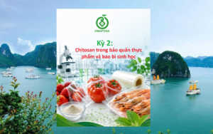 Ứng dụng Chitosan trong bảo quản thực phẩm và bao bì sinh học