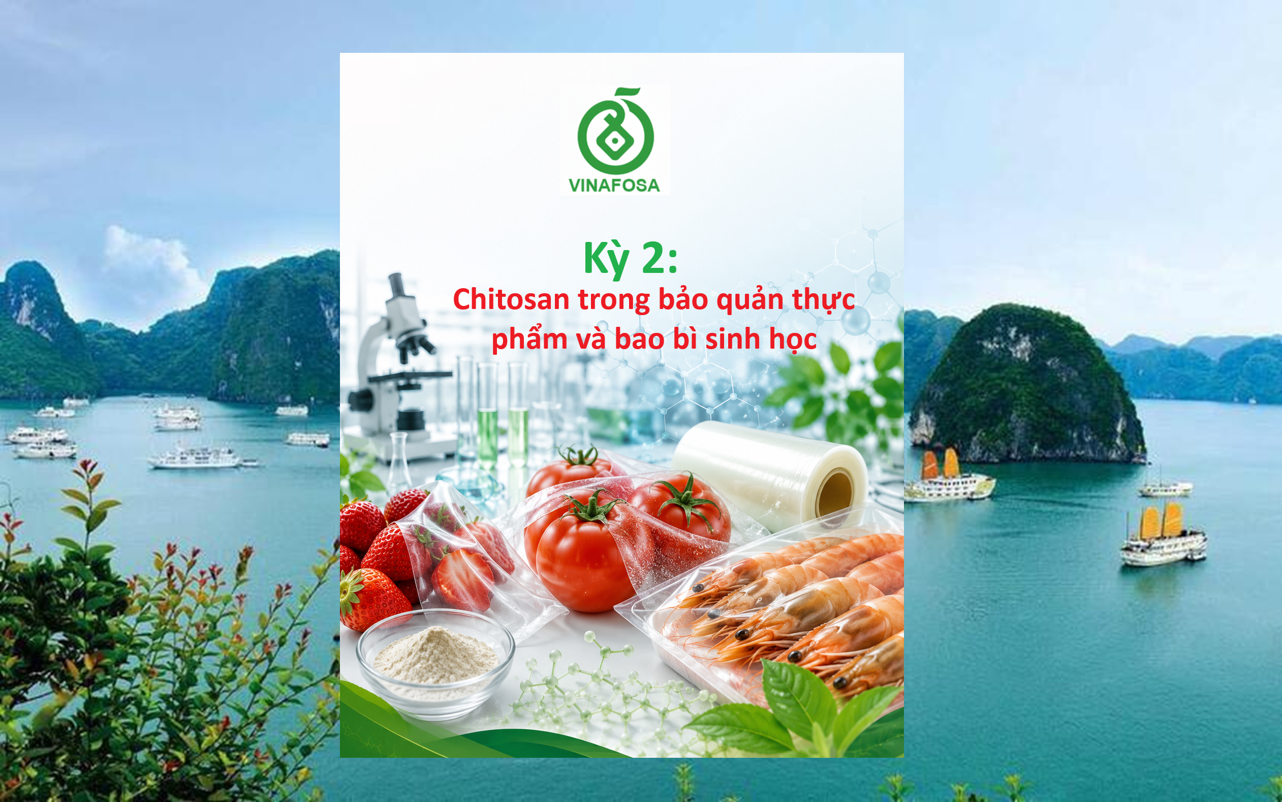 Ứng dụng Chitosan trong bảo quản thực phẩm và bao bì sinh học