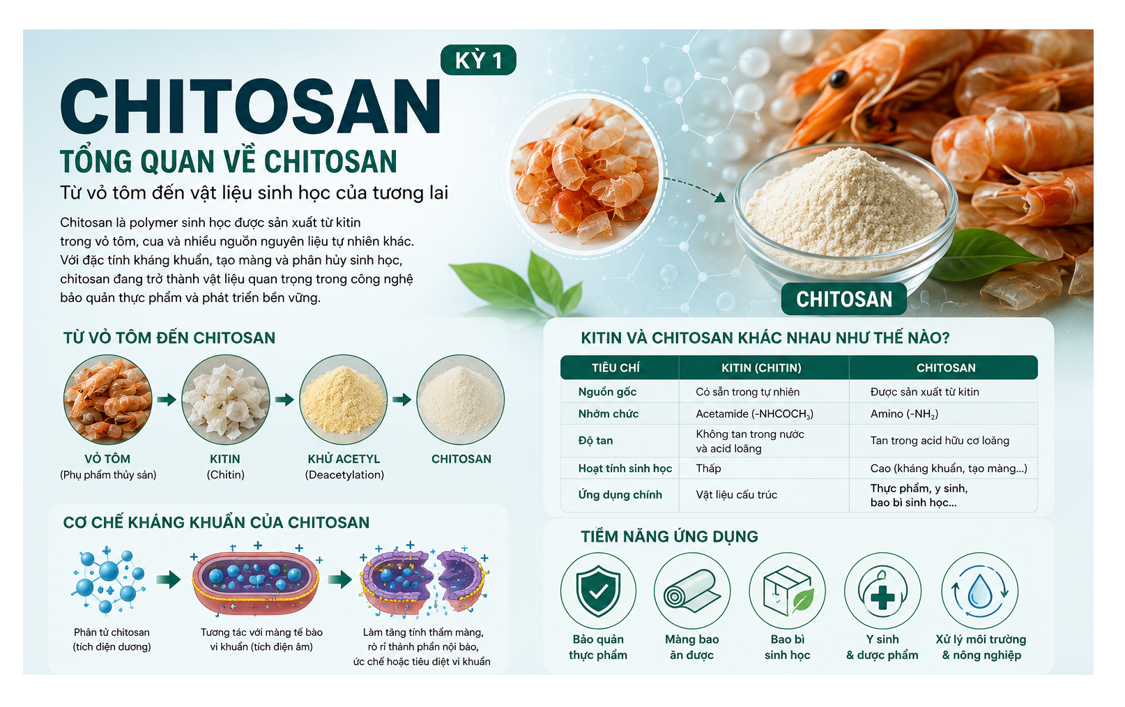 Chitosan là polymer sinh học được sản xuất từ kitin trong vỏ tôm, cua và nhiều nguồn nguyên liệu tự nhiên khác. Với đặc tính kháng khuẩn, tạo màng và phân hủy sinh học, chitosan đang trở thành vật liệu quan trọng trong công nghệ bảo quản thực phẩm và phát triển bền vững.