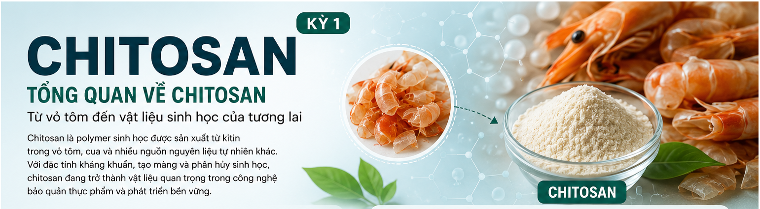 Chitosan là polymer sinh học được sản xuất từ kitin trong vỏ tôm, cua và nhiều nguồn nguyên liệu tự nhiên khác. Với đặc tính kháng khuẩn, tạo màng và phân hủy sinh học, chitosan đang trở thành vật liệu quan trọng trong công nghệ bảo quản thực phẩm và phát triển bền vững.