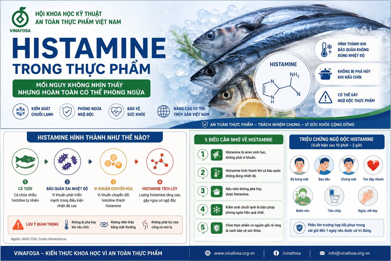 Histamine là nguyên nhân gây nhiều vụ ngộ độc cá biển nhưng không bị phá hủy khi nấu chín. VINAFOSA giải thích cơ chế hình thành, triệu chứng và cách phòng ngừa theo góc nhìn khoa học.