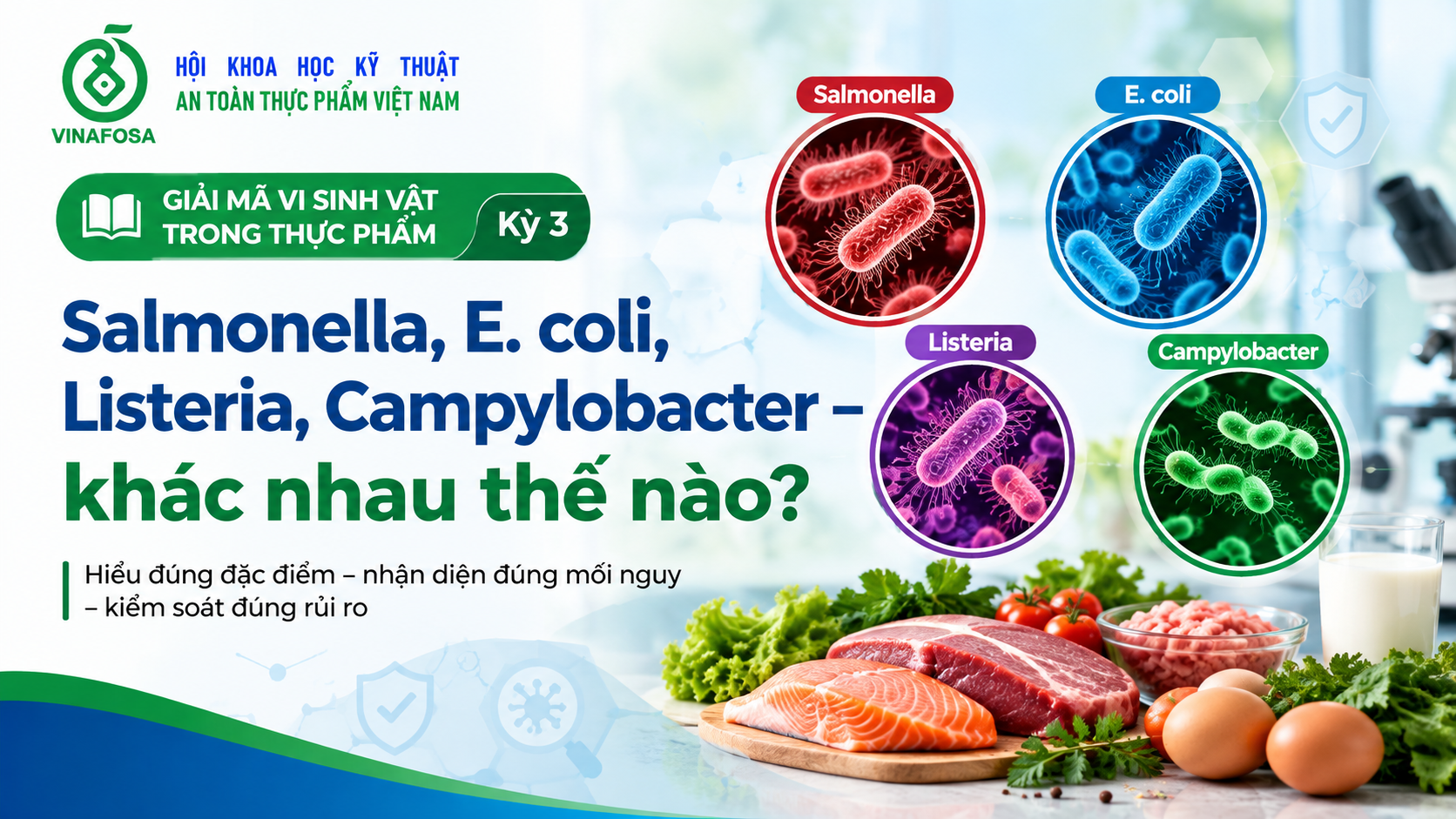 Vi khuẩn thực phẩm: Salmonella, E. coli, Listeria, Campylobacter. Cùng VINAFOSA tìm hiểu nguồn lây, nguy cơ và cách kiểm soát các mối nguy vi sinh.