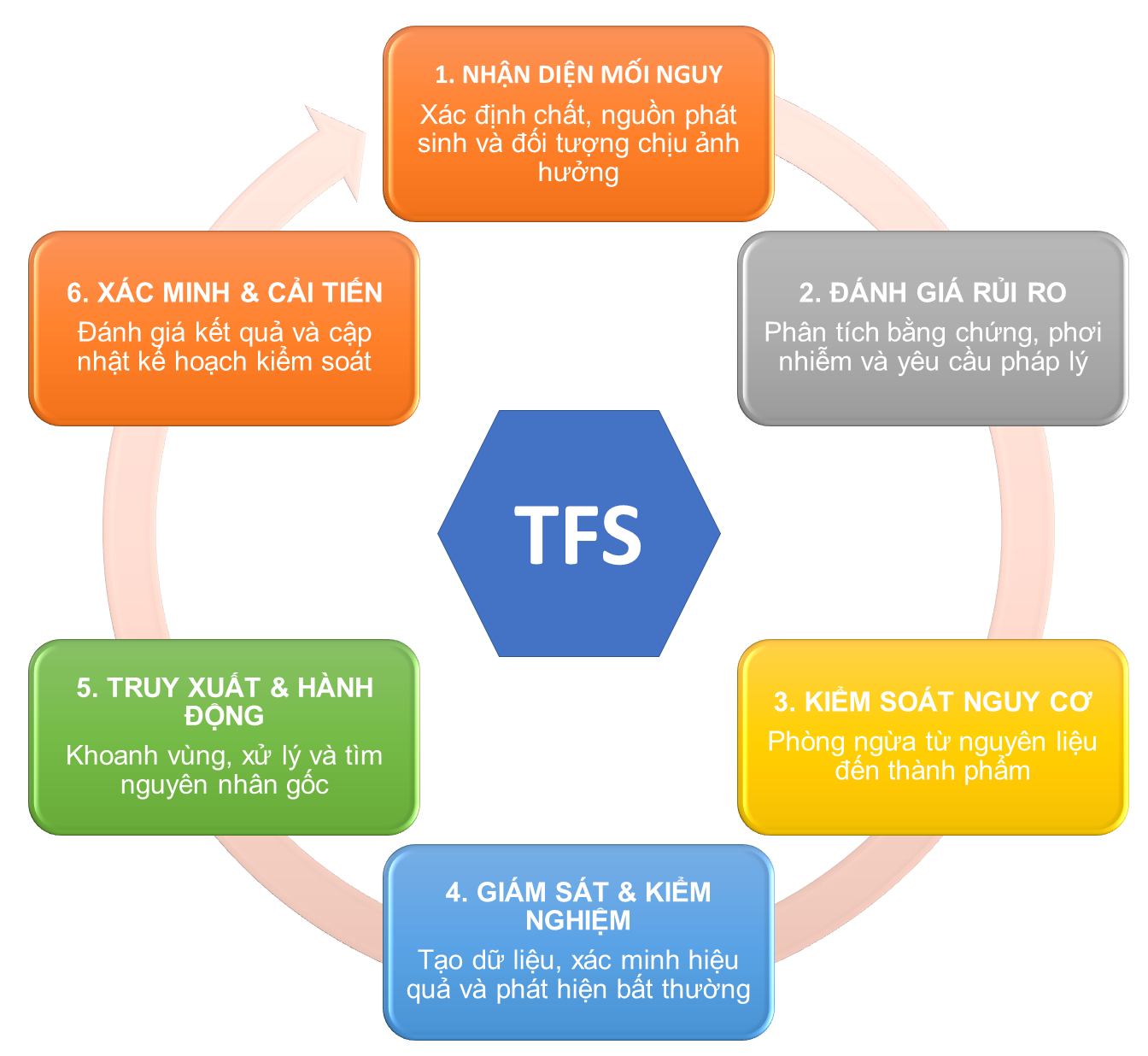TFS: Tìm hiểu cách chuyển kết quả kiểm nghiệm thành hành động quản lý rủi ro, kết hợp đánh giá nguy cơ, truy xuất nguồn gốc, giám sát và cảnh báo sớm.